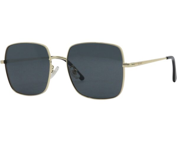 Prescription Sunglasses 164237-c